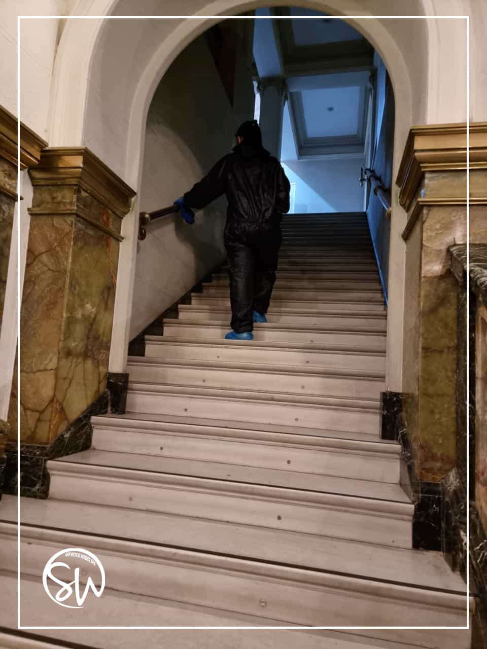 008